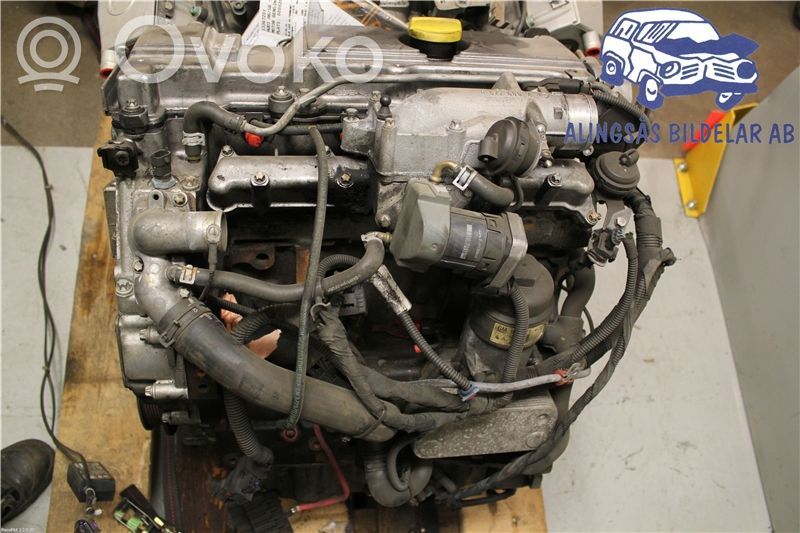 Motor   D223L,D223L