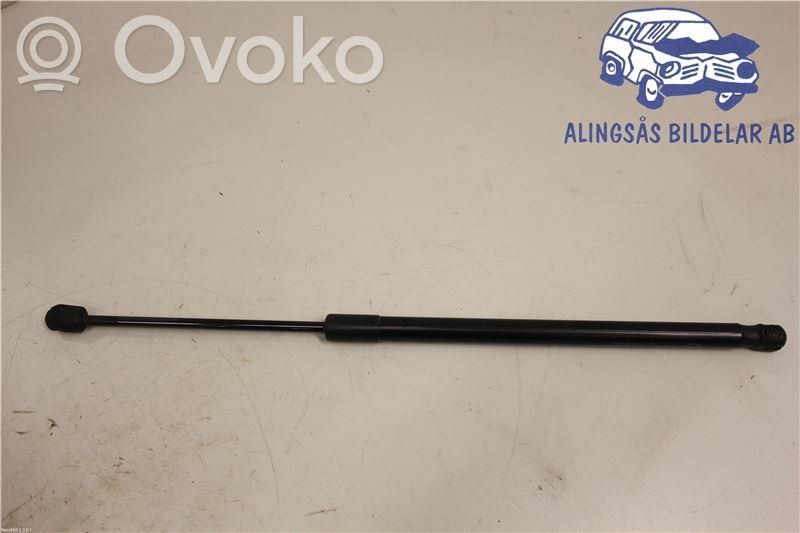 Tailgate strut   D65163620