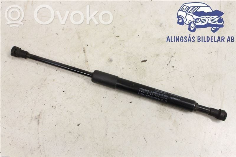 Tailgate strut   31297829