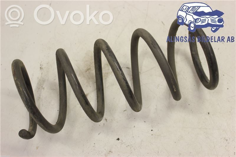 Rear coil spring