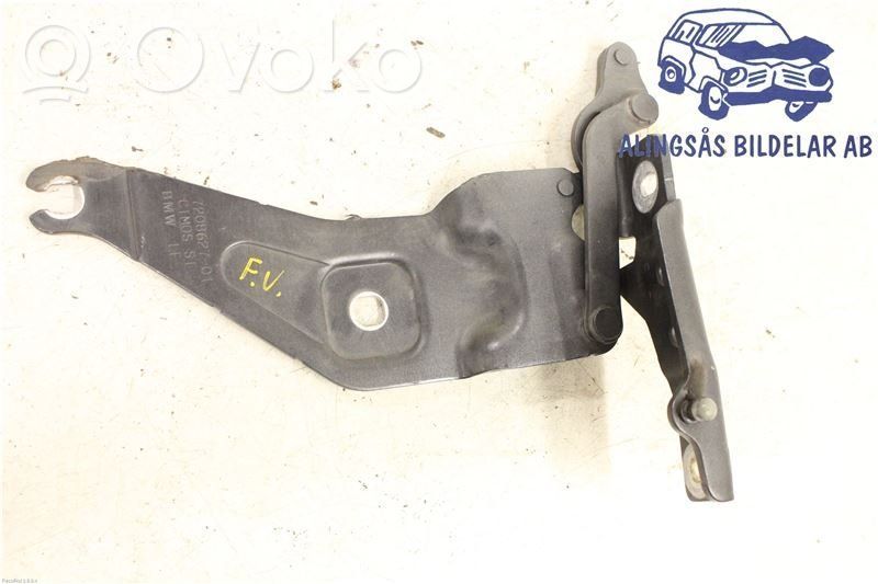 BMW X5 E70 Engine bonnet/hood hinges 