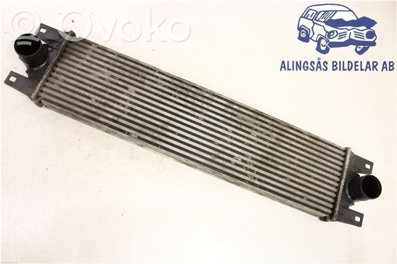 Intercooler radiator   874806M