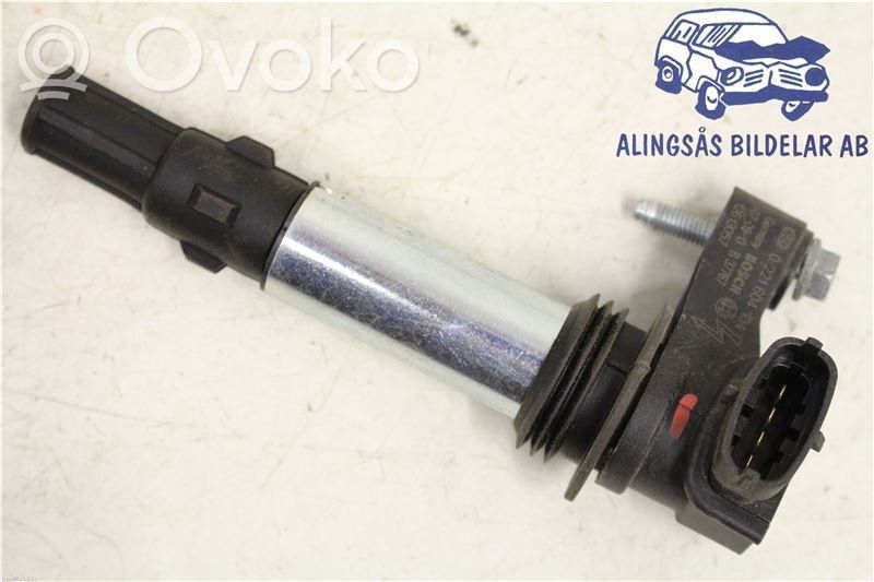 Aukštos įtampos ritė "babyna"   0221604104,12613057