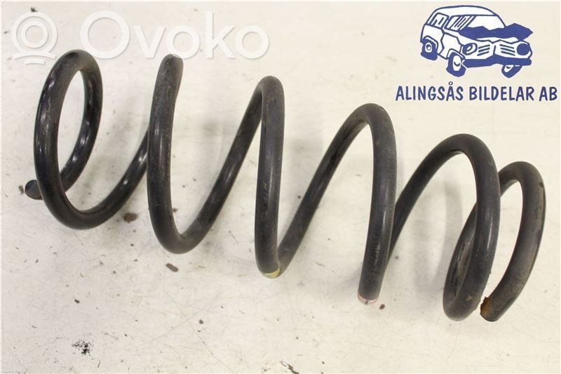 Rear coil spring