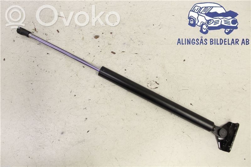 Tailgate strut   5802A666