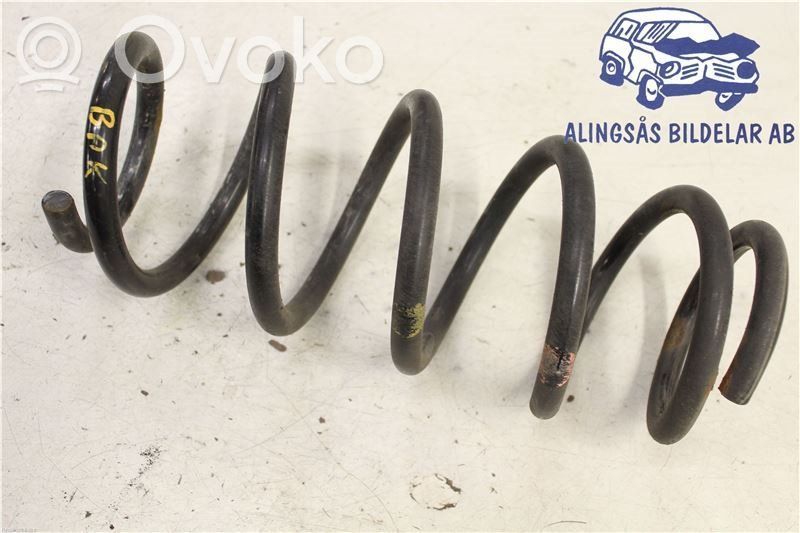Rear coil spring