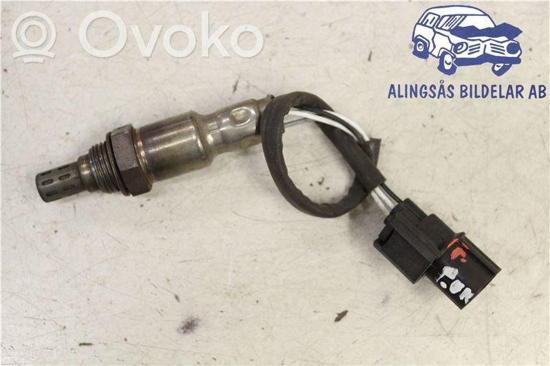 Sonde lambda   OHR635H1