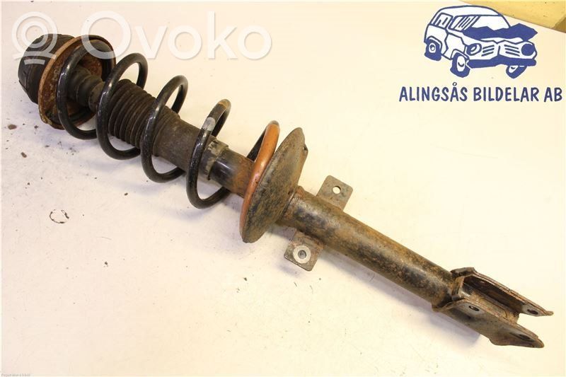 Dacia Duster Galinis amortizatorius 