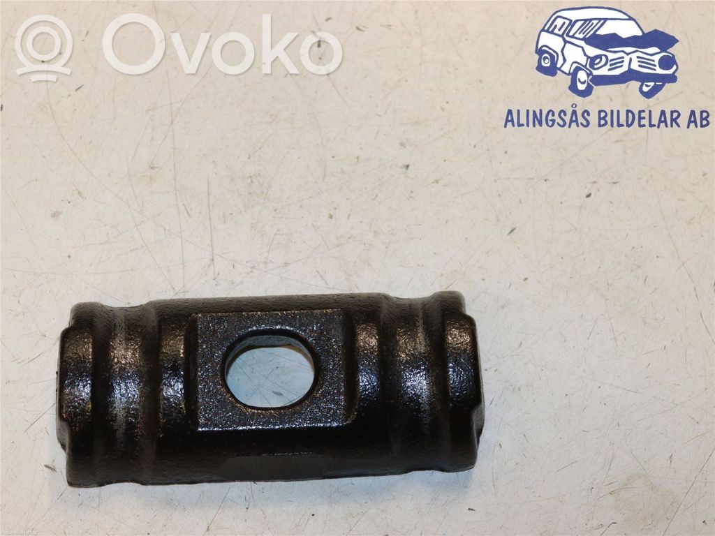 Galinė lingė   2096300,BK215798BC