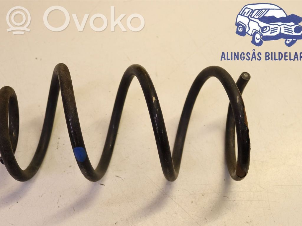 Rear coil spring   550203VU0A