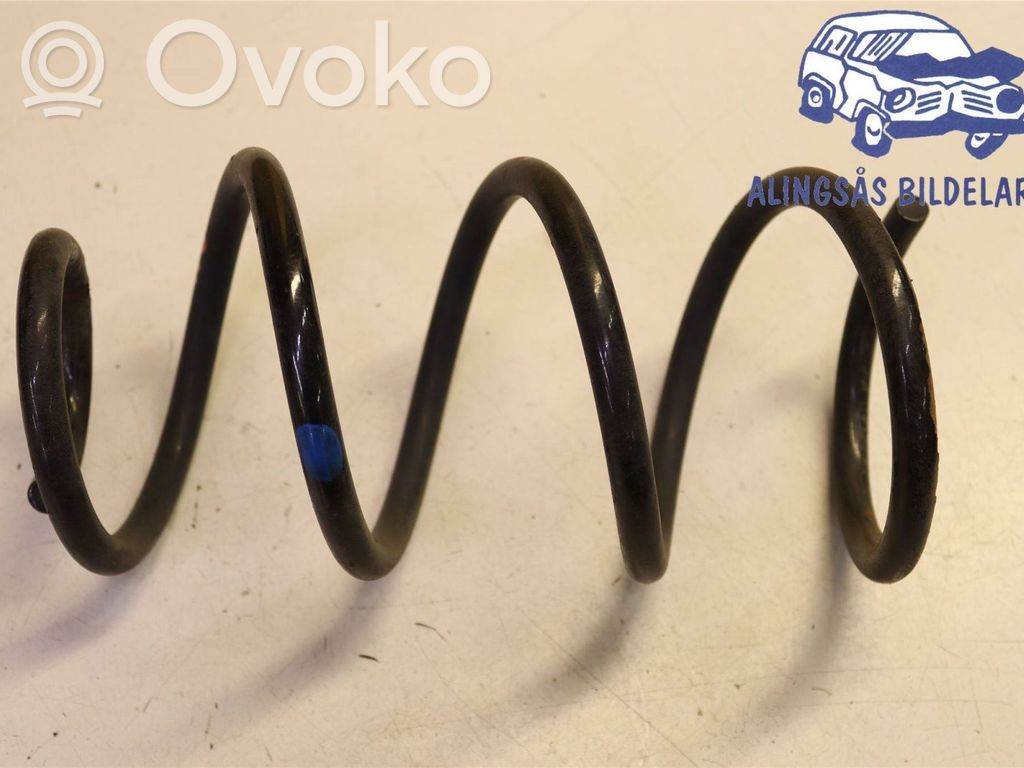 Rear coil spring   550203VU0A