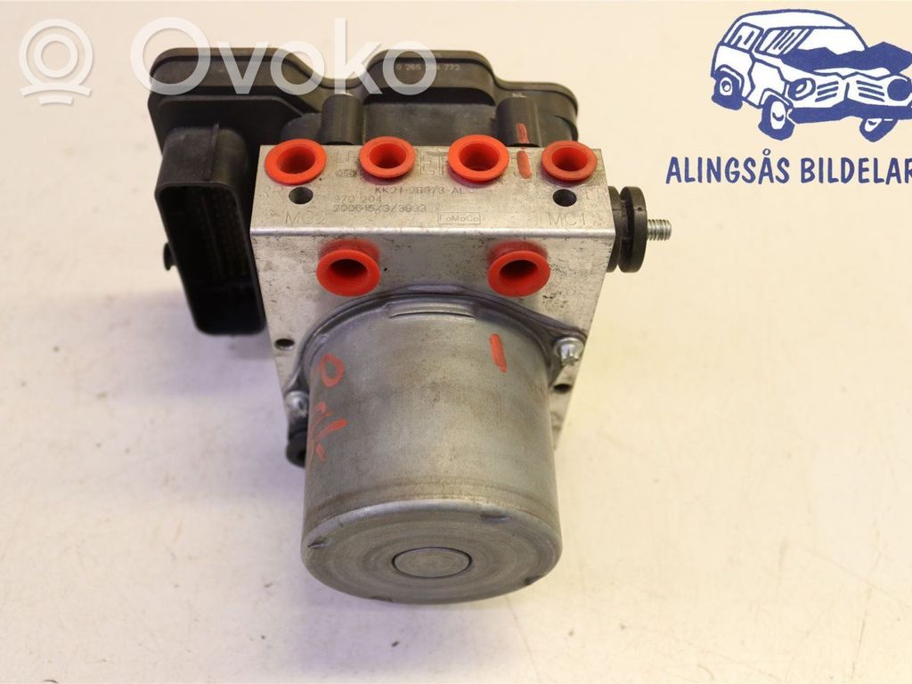 ABS Blokas   2508910,0265956638,KK212B373AL