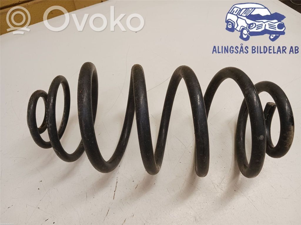 Rear coil spring