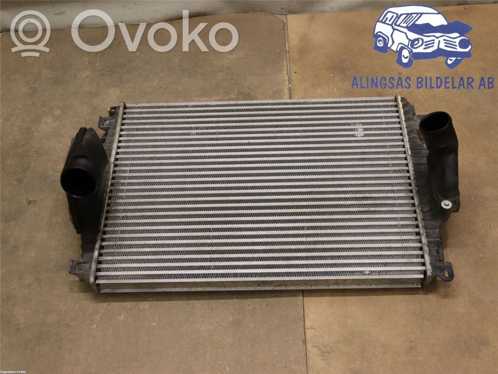 Jaguar XF X250 Aušinimo skysčio radiatorius 