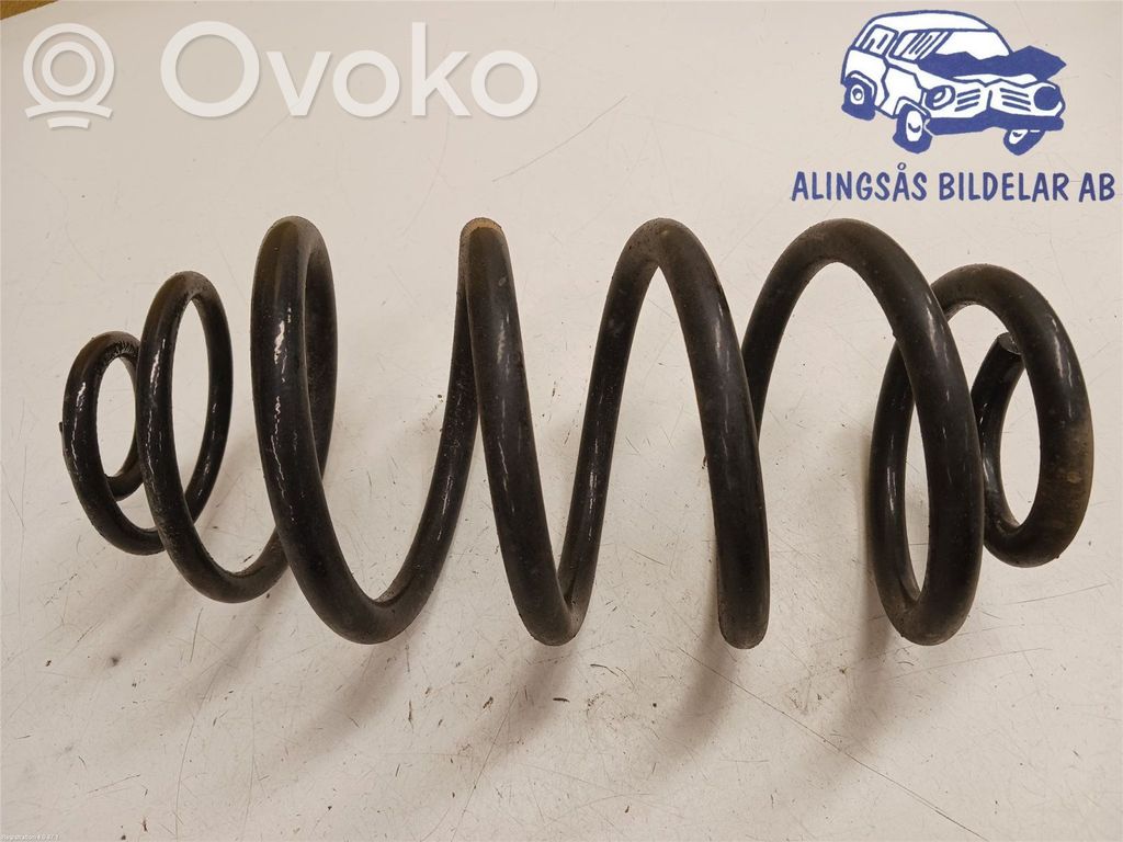 Rear coil spring