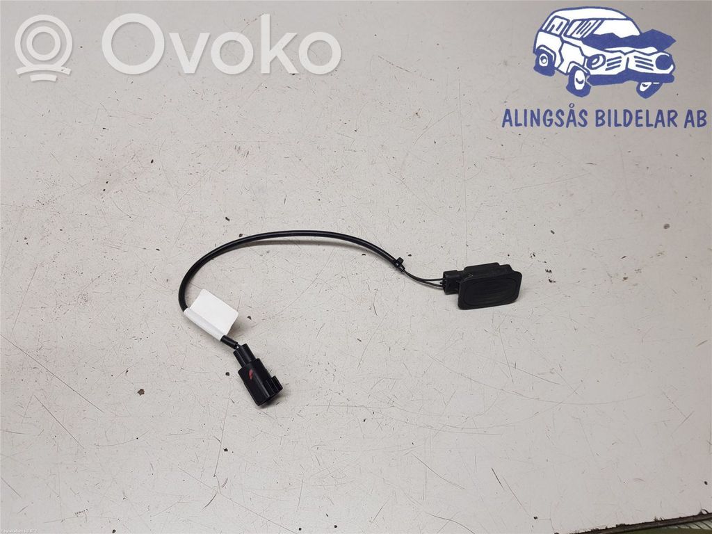Fiat Freemont Tailgate/boot open switch button 