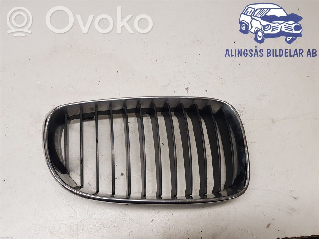 BMW 1 E81 E87 Front bumper lower grill 