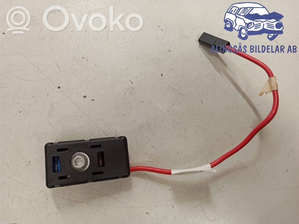Tesla Model Y Radio antena 