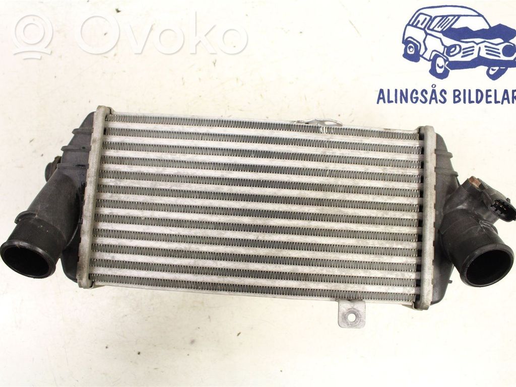 Ladeluftkühler   282702A770