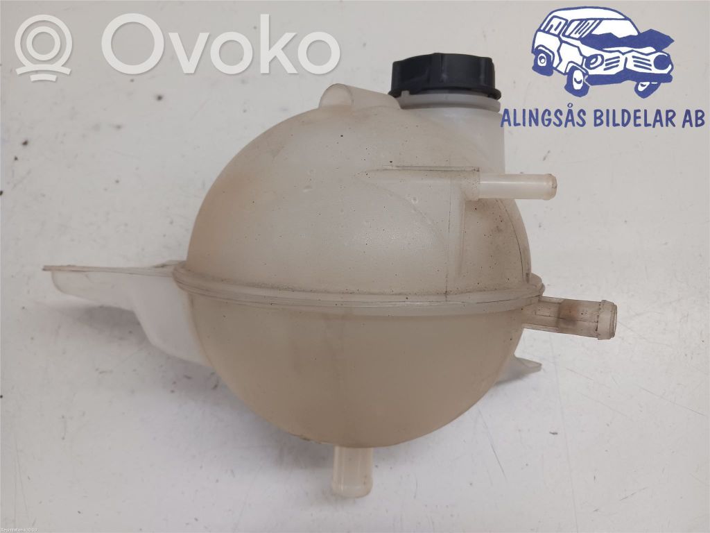 Ford Transit Aušinimo skysčio išsiplėtimo bakelis 