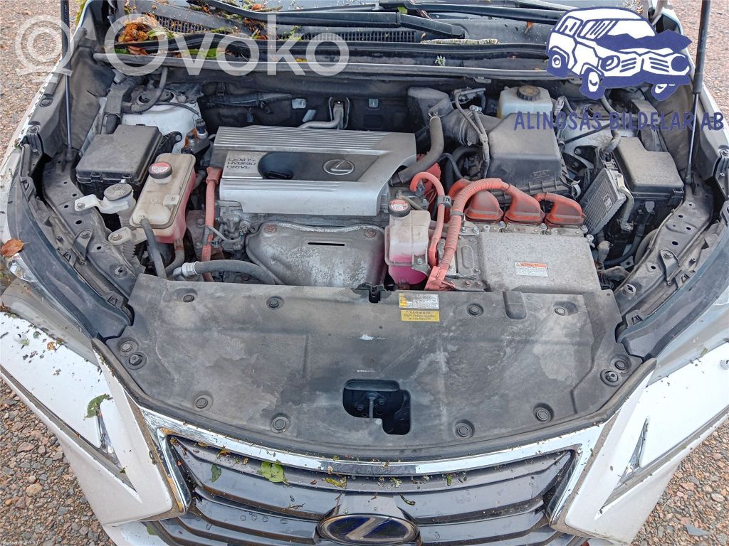 Engine   1900036430