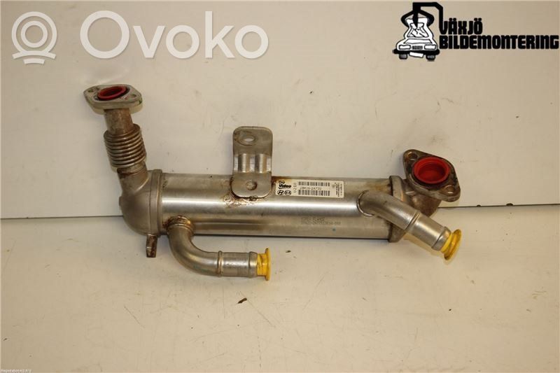 EGR aušintuvas   284162A730