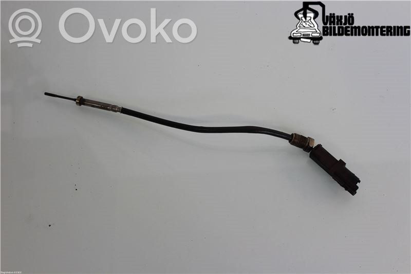 Peugeot 308 Exhaust gas temperature sensor 