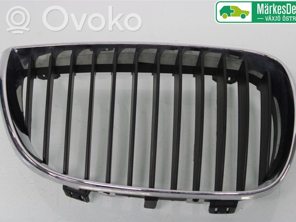 BMW 1 E81 E87 Front bumper lower grill 