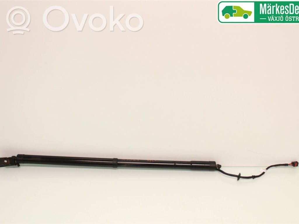 Ford C-MAX II Tailgate strut 