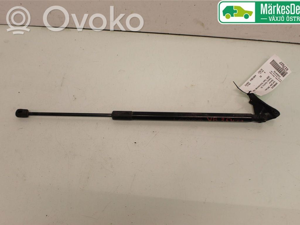 Tailgate strut   6896002210,7507300530N,7507300530N