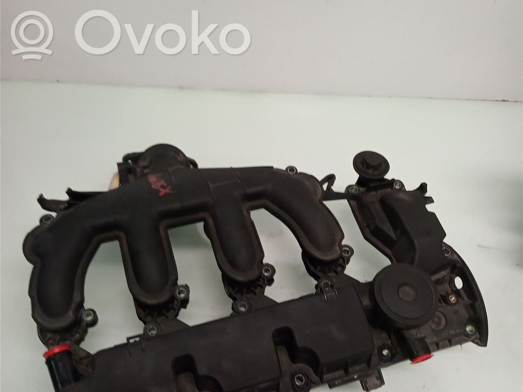 Kolektorius įsiurbimo   0248Q6