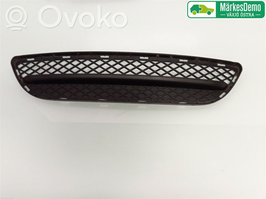 Front bumper lower grill   51117154555