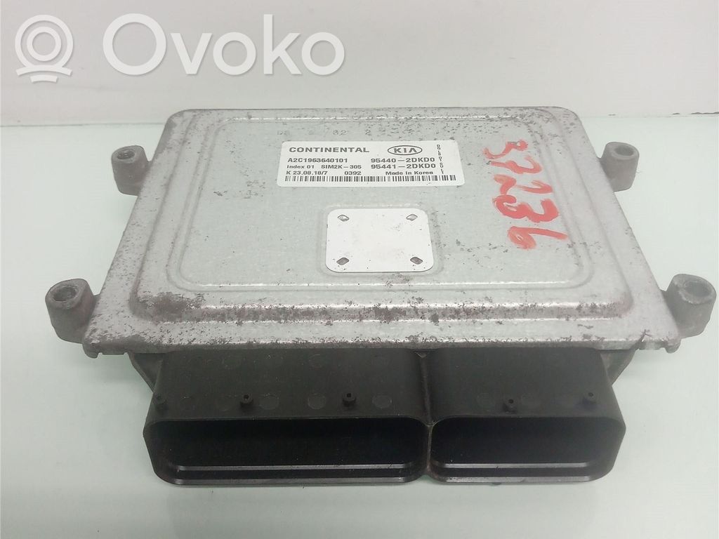Injection control unit/module   954402DKD0,A2C1963640101,954402DKD0