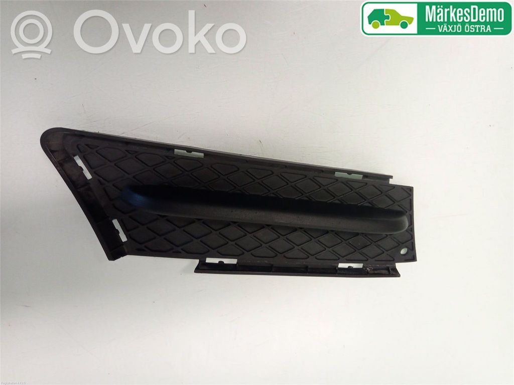 Etusumuvalon ritilä   51117134081