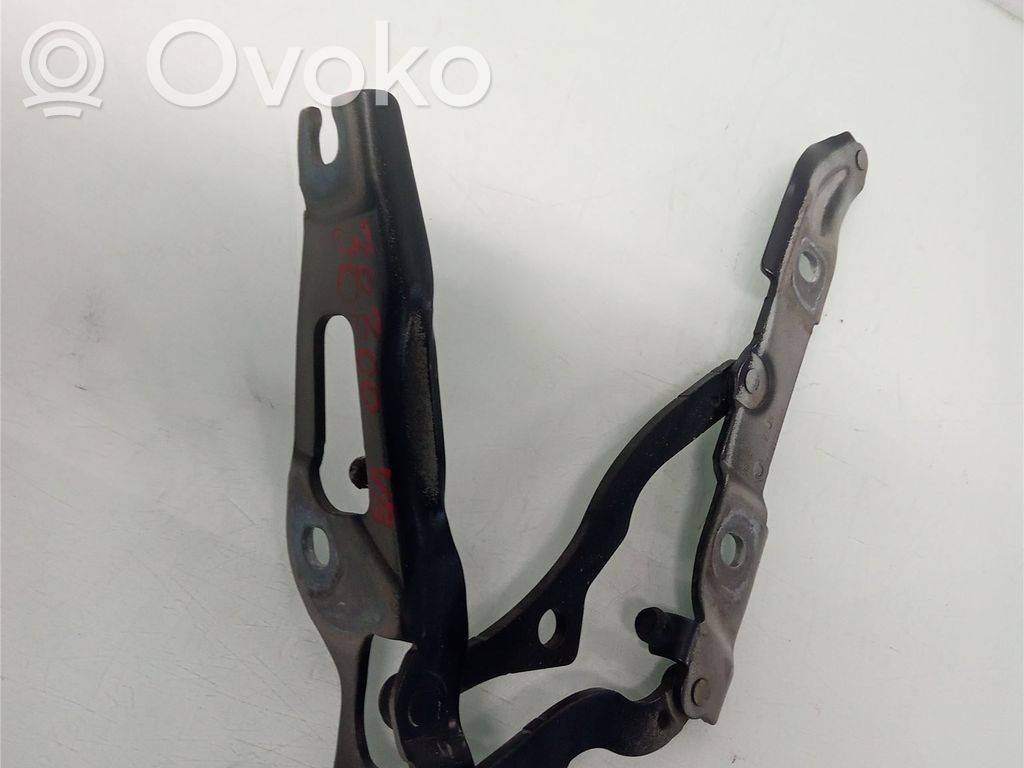 BMW 1 E82 E88 Tailgate/trunk/boot hinge 