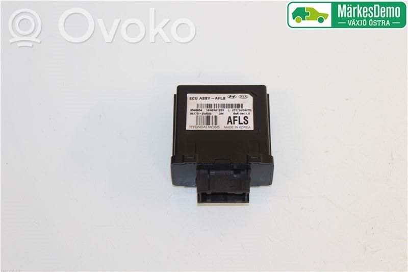 Module d'éclairage LCM   921702W000
