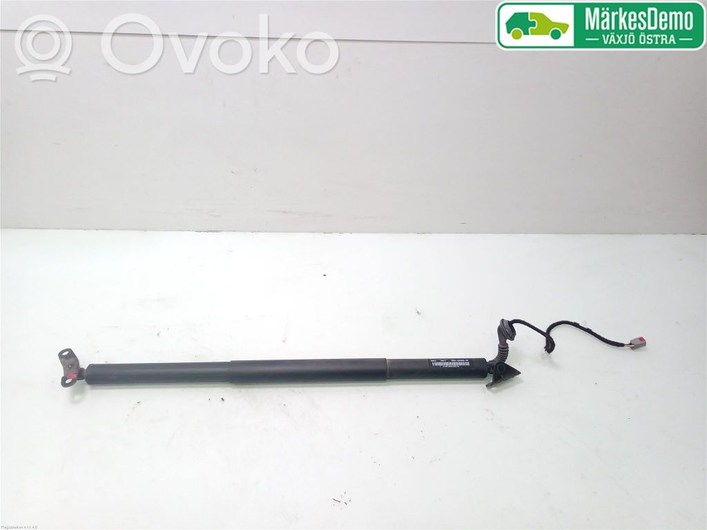 Tailgate/trunk strut/damper   2634264
