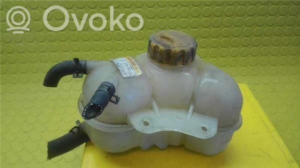 Kuro išsiplėtimo bakelis   96182279