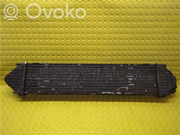 Radiador intercooler