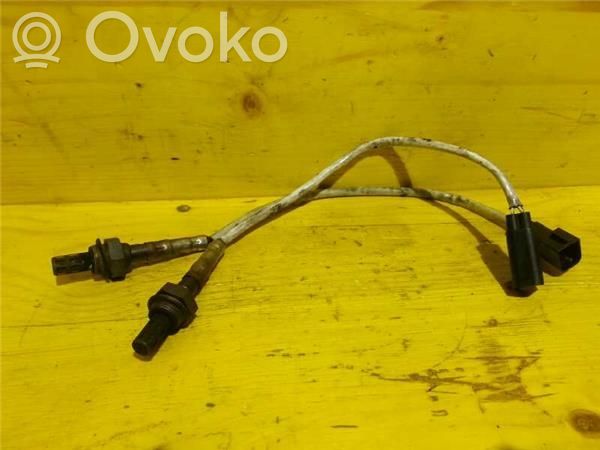 Lambda probe sensor   1001702