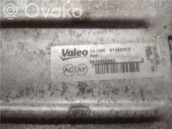 Peugeot 407 Interkūlerio radiatorius 