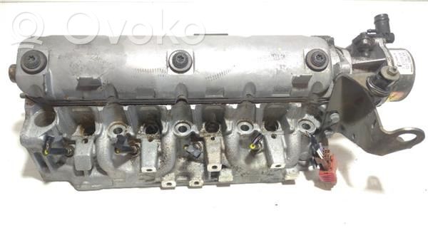 Galvutė   35929