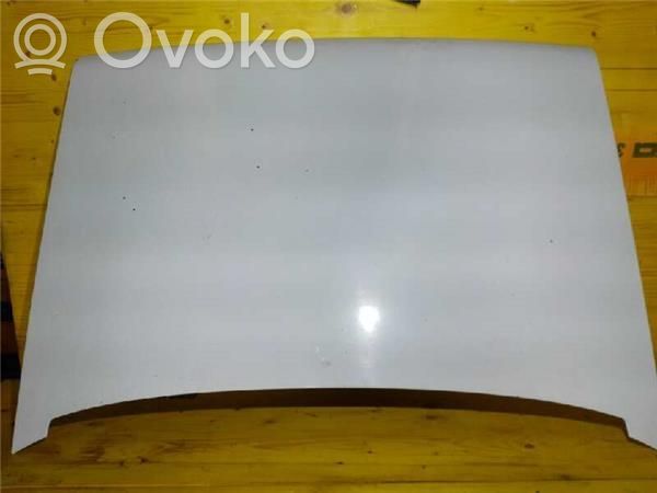 Dzinēja pārsegs (vāks)   7751465339