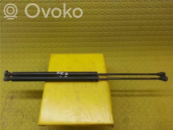 Tailgate/trunk/boot lid buffer