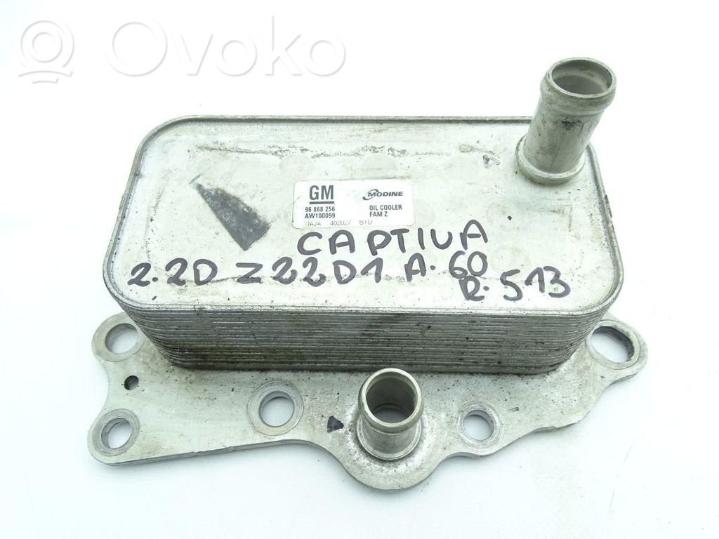 Chevrolet Captiva Engine oil radiator 