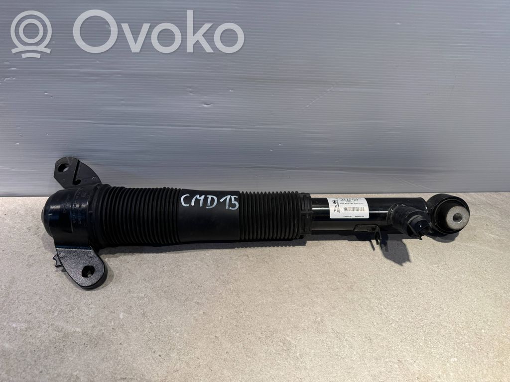 Stoßdämpfer hinten   X3420F49CMD15,SN0000130