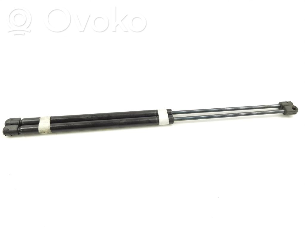 Tailgate/trunk strut/damper