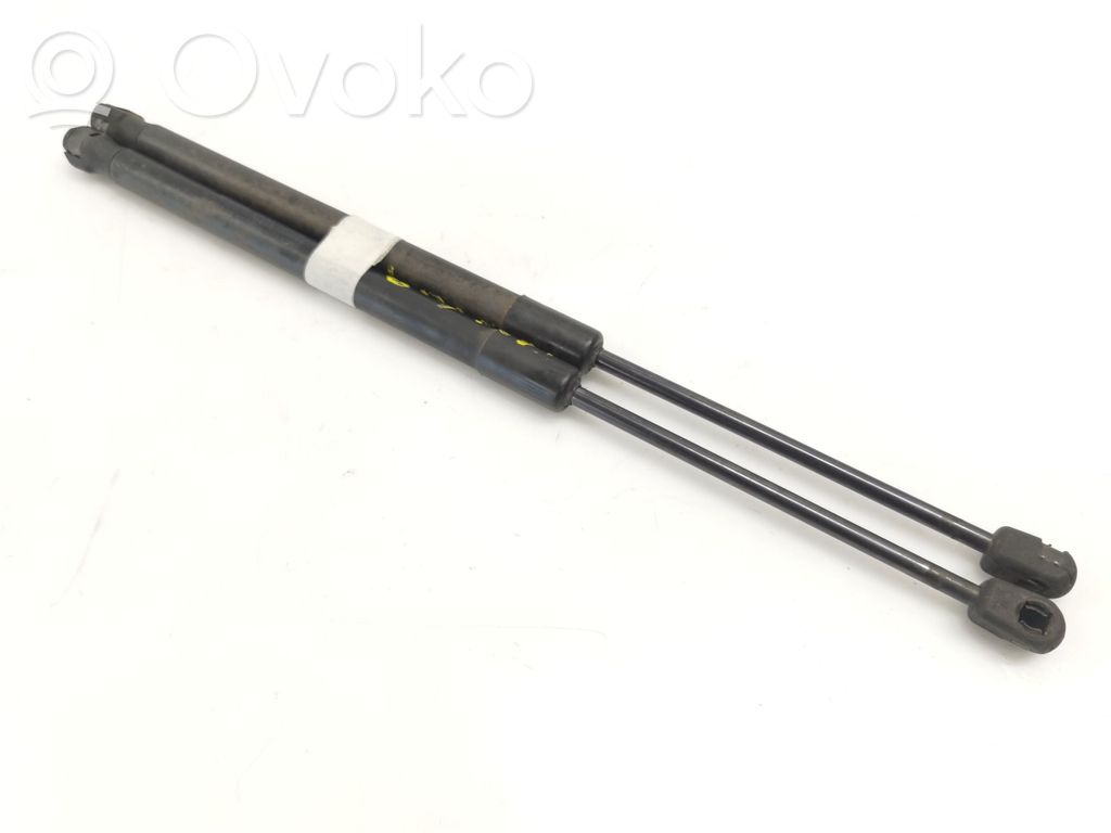 Tailgate/trunk strut/damper