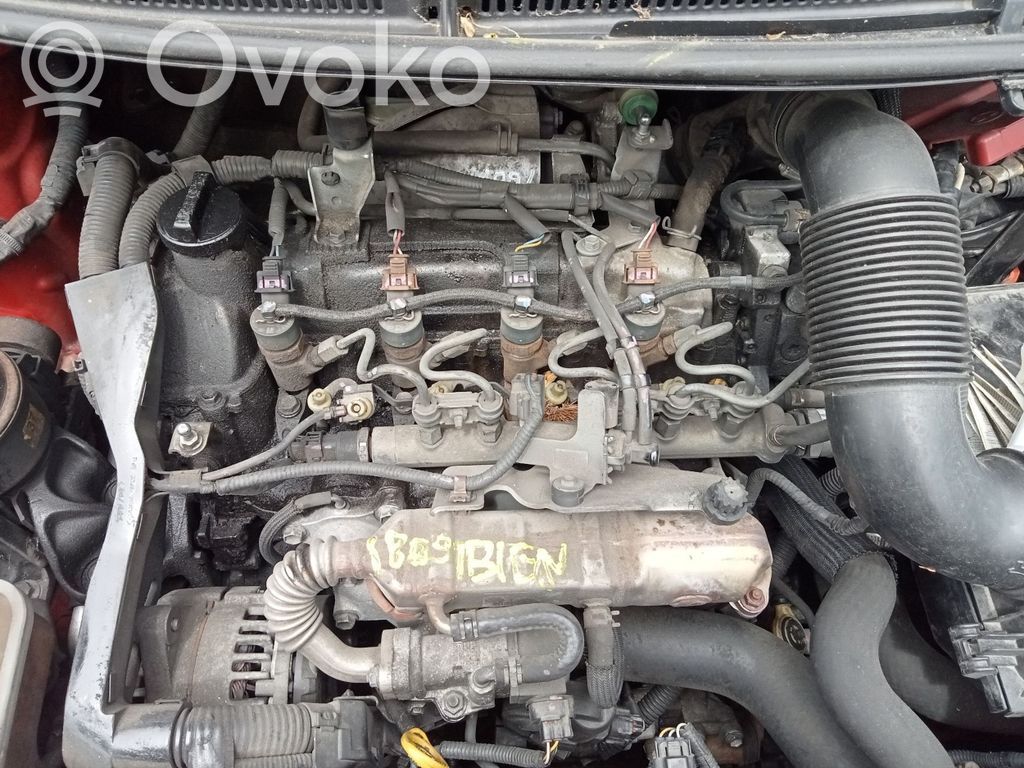 Motor