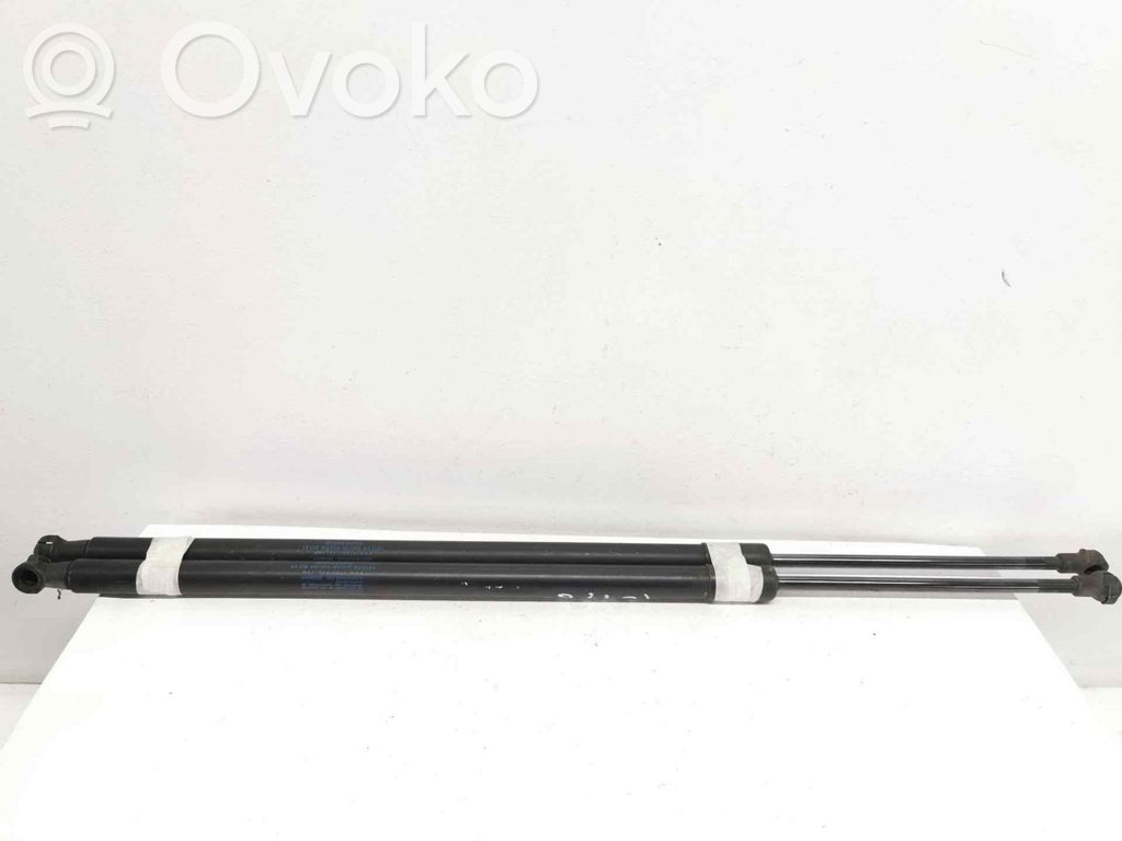 Tailgate/trunk strut/damper